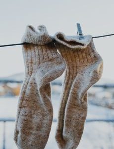 Pair of merino wool crew socks